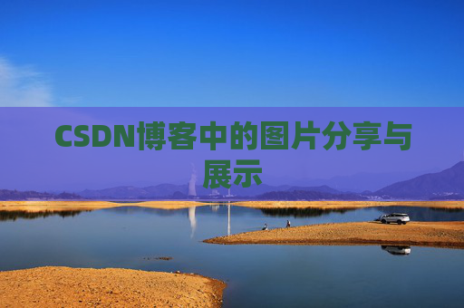 CSDN博客中的图片分享与展示